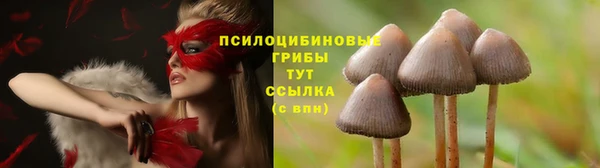 героин Богородск