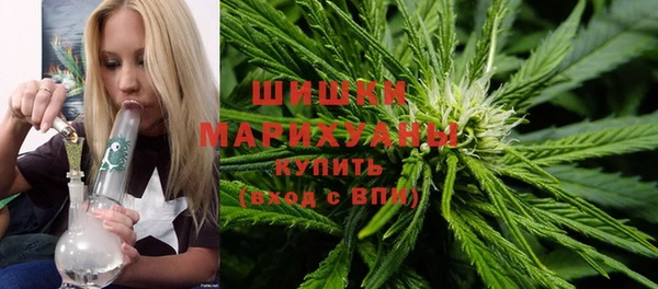 гидропоника Богданович