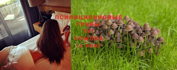 гидропоника Богданович