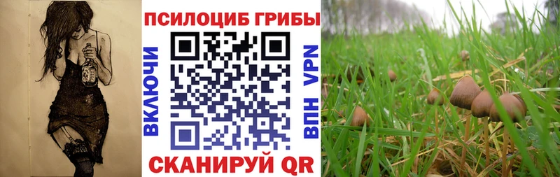 Галлюциногенные грибы Cubensis  Костомукша 